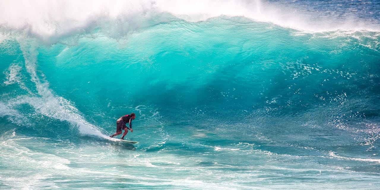 a surfer surfing on the sea