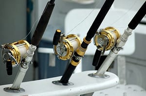 reels
